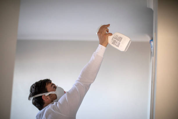 Best Certified Mold Removal  in Spring Valley, MN